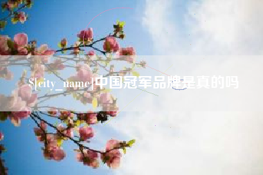 三亚中国冠军品牌是真的吗