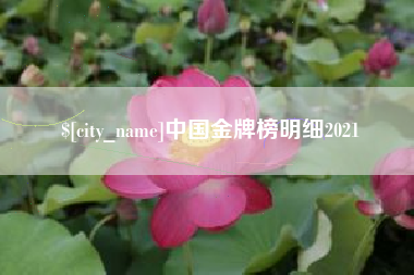 三亚中国金牌榜明细2021