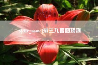 三亚排三九宫图预测
