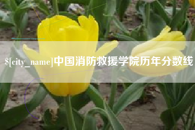 三亚中国消防救援学院历年分数线