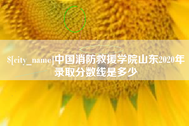 三亚中国消防救援学院山东2020年录取分数线是多少