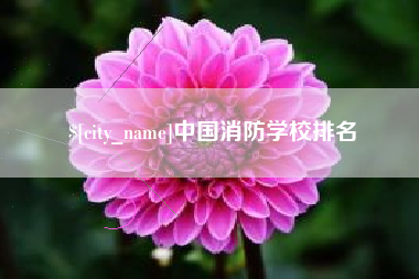 三亚中国消防学校排名