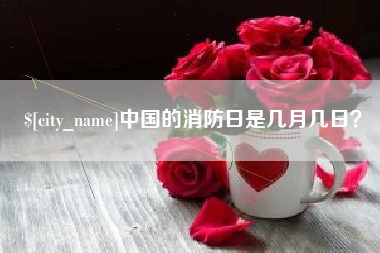 三亚中国的消防日是几月几日？