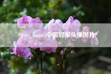 三亚中国冠军头像图片