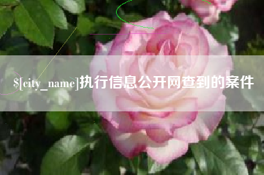 三亚执行信息公开网查到的案件
