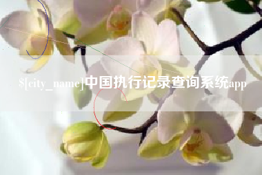 三亚中国执行记录查询系统app