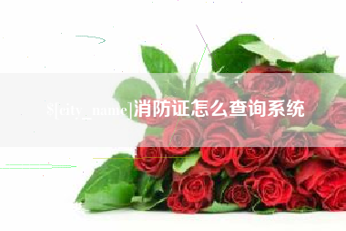 三亚消防证怎么查询系统