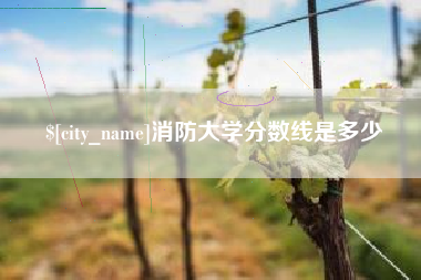 三亚消防大学分数线是多少