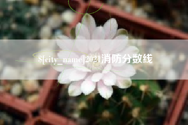 三亚2021消防分数线