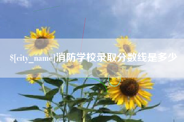 三亚消防学校录取分数线是多少