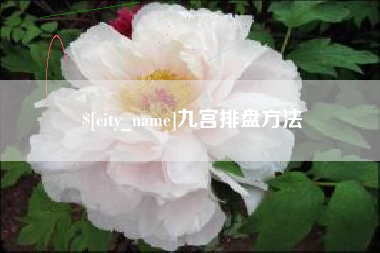 三亚九宫排盘方法