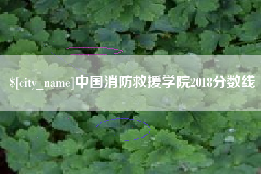 三亚中国消防救援学院2018分数线