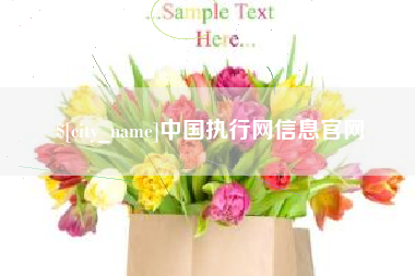 三亚中国执行网信息官网