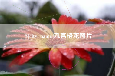三亚九宫格龙图片
