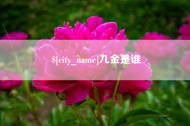 三亚九金是谁