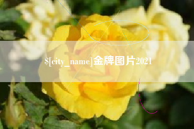 三亚金牌图片2021