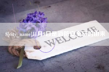 三亚11月9日是消防安全日的由来