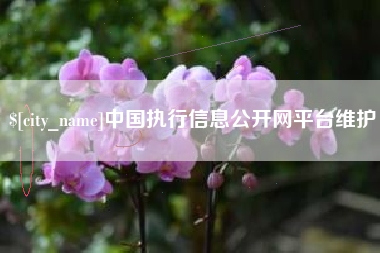 三亚中国执行信息公开网平台维护