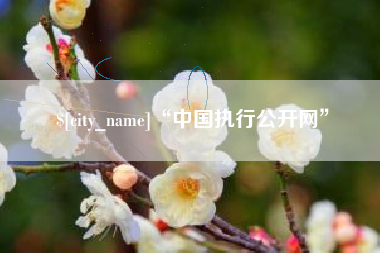 三亚“中国执行公开网”
