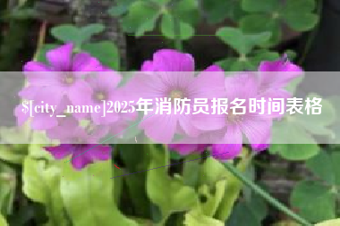 三亚2025年消防员报名时间表格