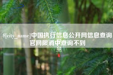 三亚中国执行信息公开网信息查询官网限消中查询不到