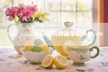 三亚中国消防救援学院分数2020