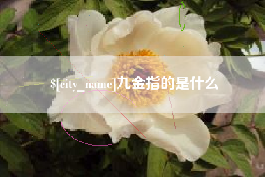 三亚九金指的是什么