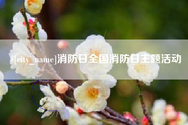 三亚消防日全国消防日主题活动