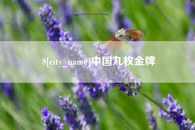 三亚中国九枚金牌