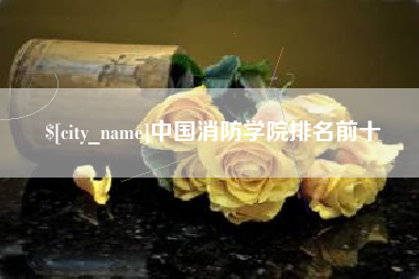 三亚中国消防学院排名前十