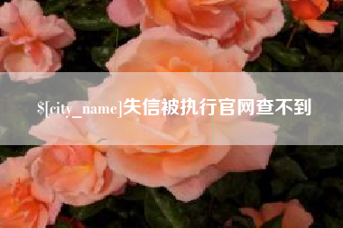 三亚失信被执行官网查不到