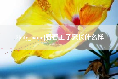 三亚看看王子豪长什么样