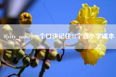 三亚一个口诀记住34个省小学课本