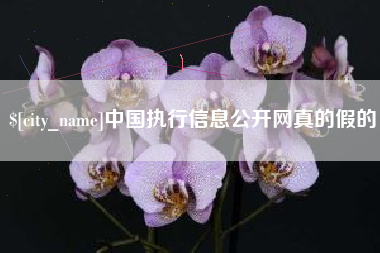 三亚中国执行信息公开网真的假的