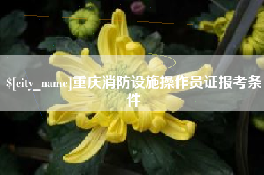 三亚重庆消防设施操作员证报考条件