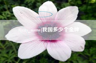 三亚我国多少个金牌