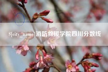 三亚消防救援学院四川分数线