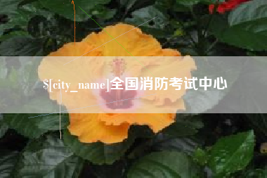 三亚全国消防考试中心