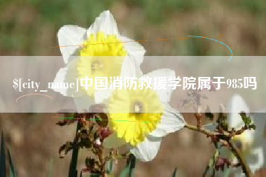 三亚中国消防救援学院属于985吗