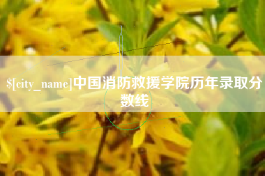 三亚中国消防救援学院历年录取分数线