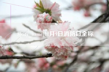 三亚11月9日消防日全称