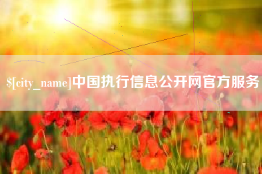 三亚中国执行信息公开网官方服务