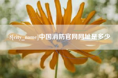 三亚中国消防官网网址是多少