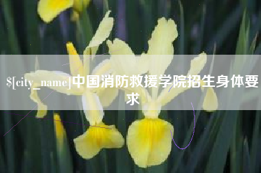 三亚中国消防救援学院招生身体要求