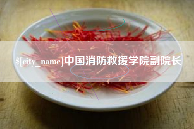 三亚中国消防救援学院副院长