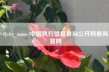 三亚中国执行信息查询公开网查询官网
