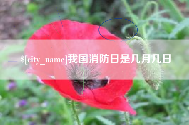 三亚我国消防日是几月几日