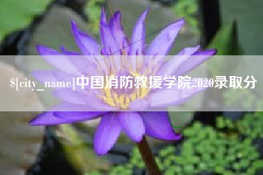 三亚中国消防救援学院2020录取分