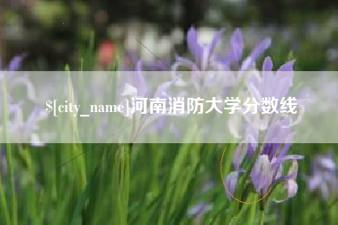 三亚河南消防大学分数线