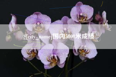 三亚国内5000米成绩